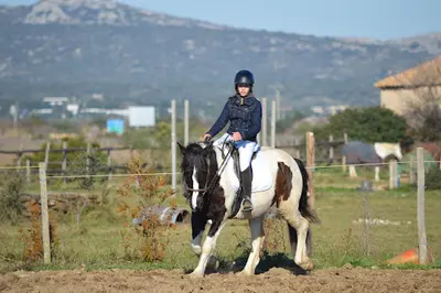 l'Equus Caballus