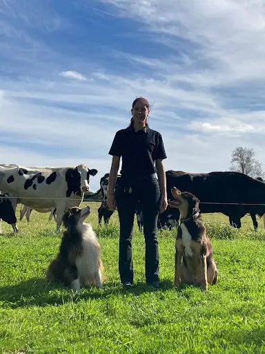 Educ Ki Breizh ~ Educatrice Comportementaliste Canine (29)