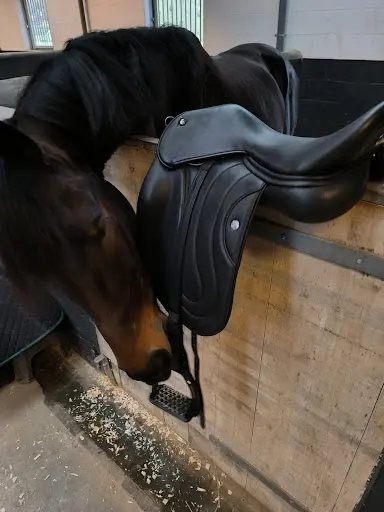 Mégane Jannet - Accord Equestre
