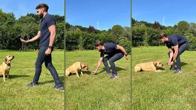Feel Good Dog Education Canine