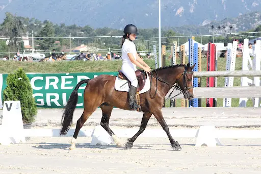 Ecurie au Pied du Férion Gérée Par Marcaillou Cindy