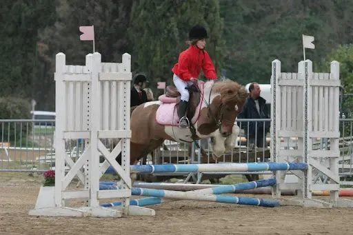 Haras de Coco - Poney Club