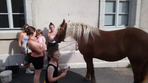 Musée-relais du Cheval de Trait Comtois et de la Forêt