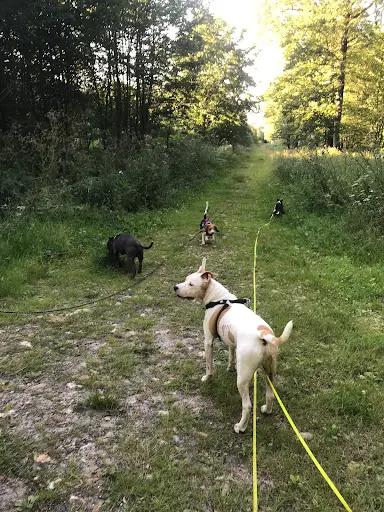 Canifeeling78
