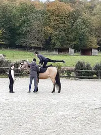 Jmo Equitation