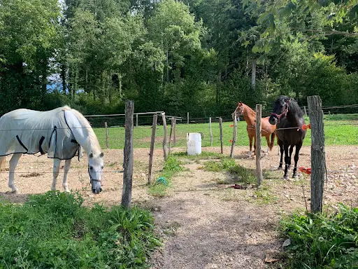 l'Écurie sous la Montagne