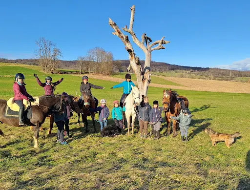 Mit Pferd & Esel Sein