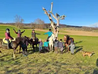 Mit Pferd & Esel Sein