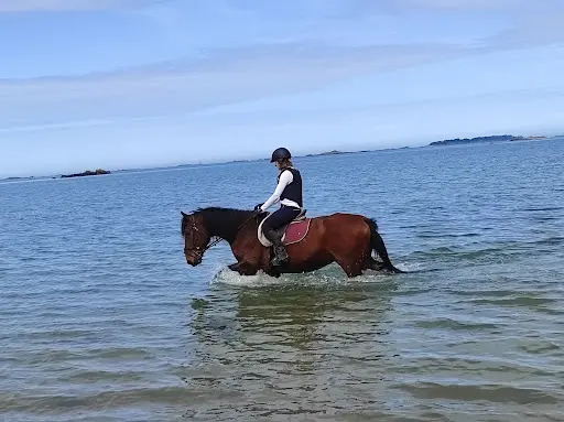 Poney Club de l'Ile À Bois