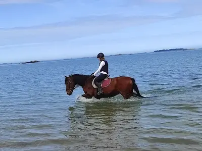 Poney Club de l'Ile À Bois