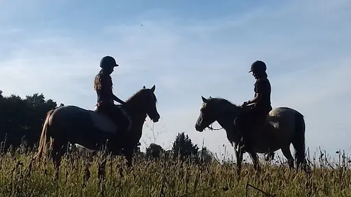 Le Poney Vert