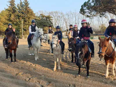 Centre Equestre le Parc