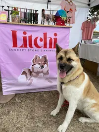 Litchi Shop • Concept Store | Animalerie