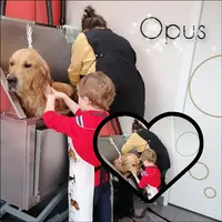 Jusqu au Bout des Griffes