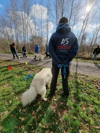 As de Chien