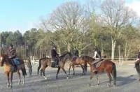 Centre Equestre de Mi- Forêt
