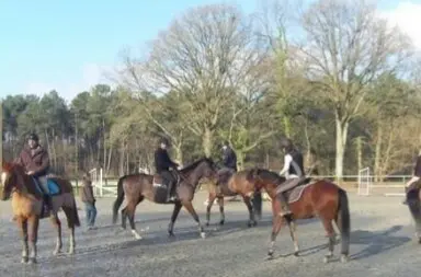 Centre Equestre de Mi- Forêt