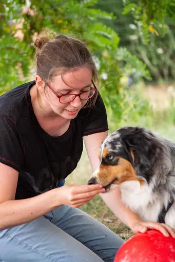 Dog Educ