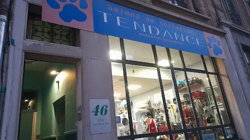 Tendance Chien et Chat