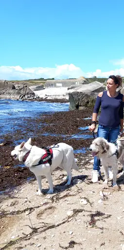 Lily Services Canins