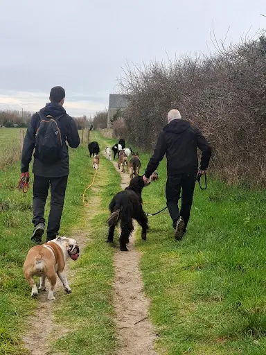Ouidogs Lingreville - Educateur Canin/comportementaliste