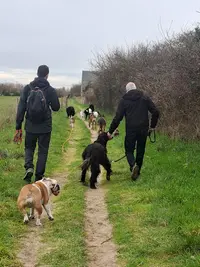 Ouidogs Lingreville - Educateur Canin/comportementaliste