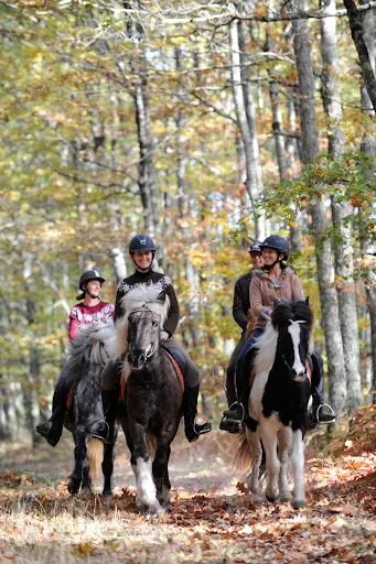 Club Hippique et Poney Club de la Forêt de Moulière