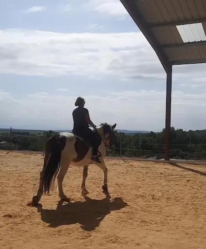 Equit Accompagne - Centre Equestre de Lirac