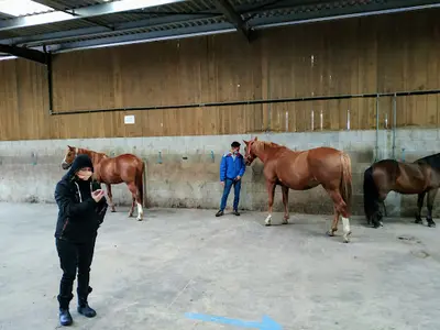 Centre Equestre des Monts d'Or