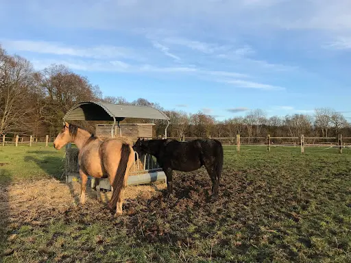 Haras la Jehannière