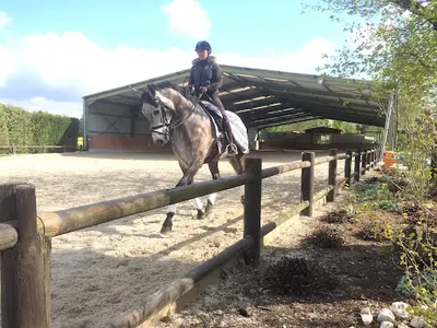 Liverdy Dressage