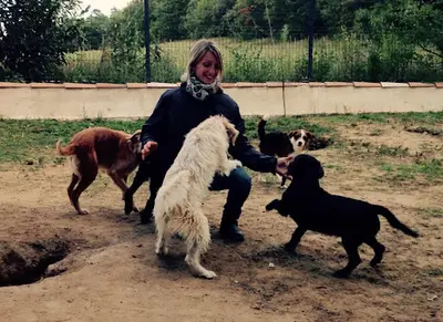 Educa Priss Educateur Comportementaliste Canin À Domicile - Drôme Ardèche