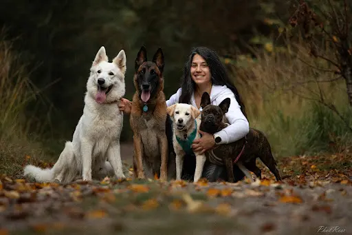 Audrey d'Éducateur Canin du Coin - Comportementaliste 🐶/ Dresseur de Chiens / Livry-sur-seine Melun la Rochette