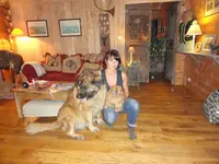 Pension Canine Sans Box - Finistère - Locronan