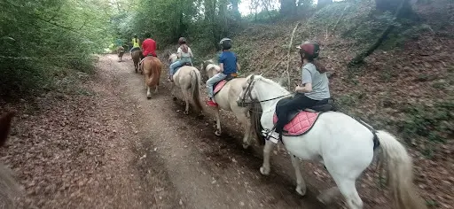 Poney Club de Ty Nadan