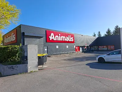 Animalis Lognes