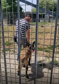 Dog Ofwood - Educateur Comportementaliste Canin et Félin À Domicile - Garde d'Animaux