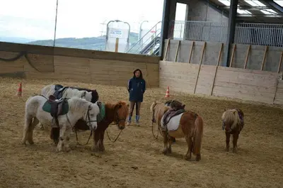 Centre Equestre du Vieux Moulin