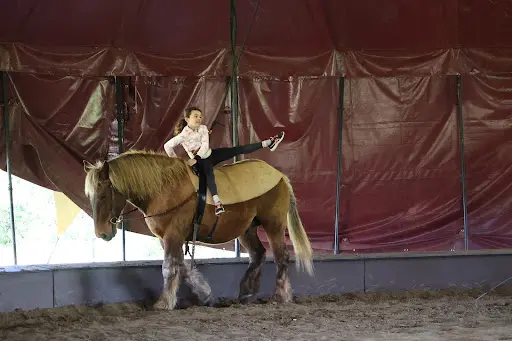 Ardevac - École D’art Équestre et de Voltige À Cheval