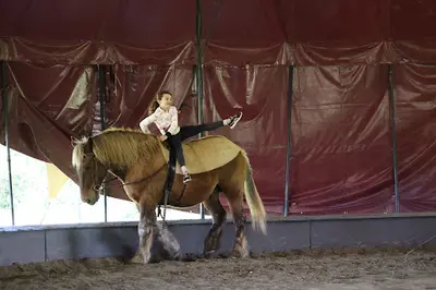 Ardevac - École D’art Équestre et de Voltige À Cheval
