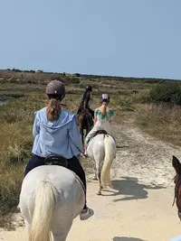 Les Écuries de Loix