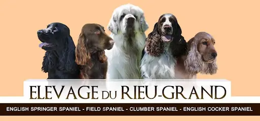 Elevage du Rieu-grand