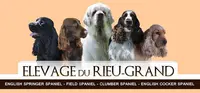 Elevage du Rieu-grand