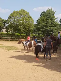 Cercle Hippique des Brières