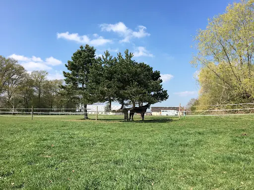 Domaine Equestre de Mirbel
