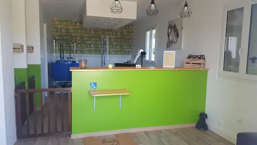 Élégance Canine & Féline