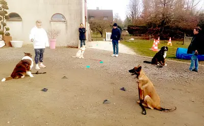 Presta Dog Éducatrice Comportementaliste Canin