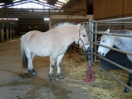 Centre Equestre de la Scie Longueville