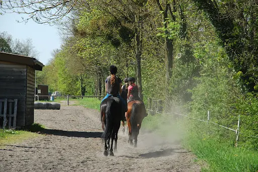 L’étrier de Bourgogne