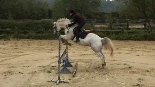 Haras des Sables
